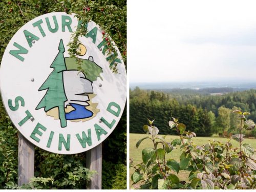 Die Öko-Modellregion Steinwald-Allianz liegt am nördlichen Rand des Regierungsbezirks Oberpfalz.