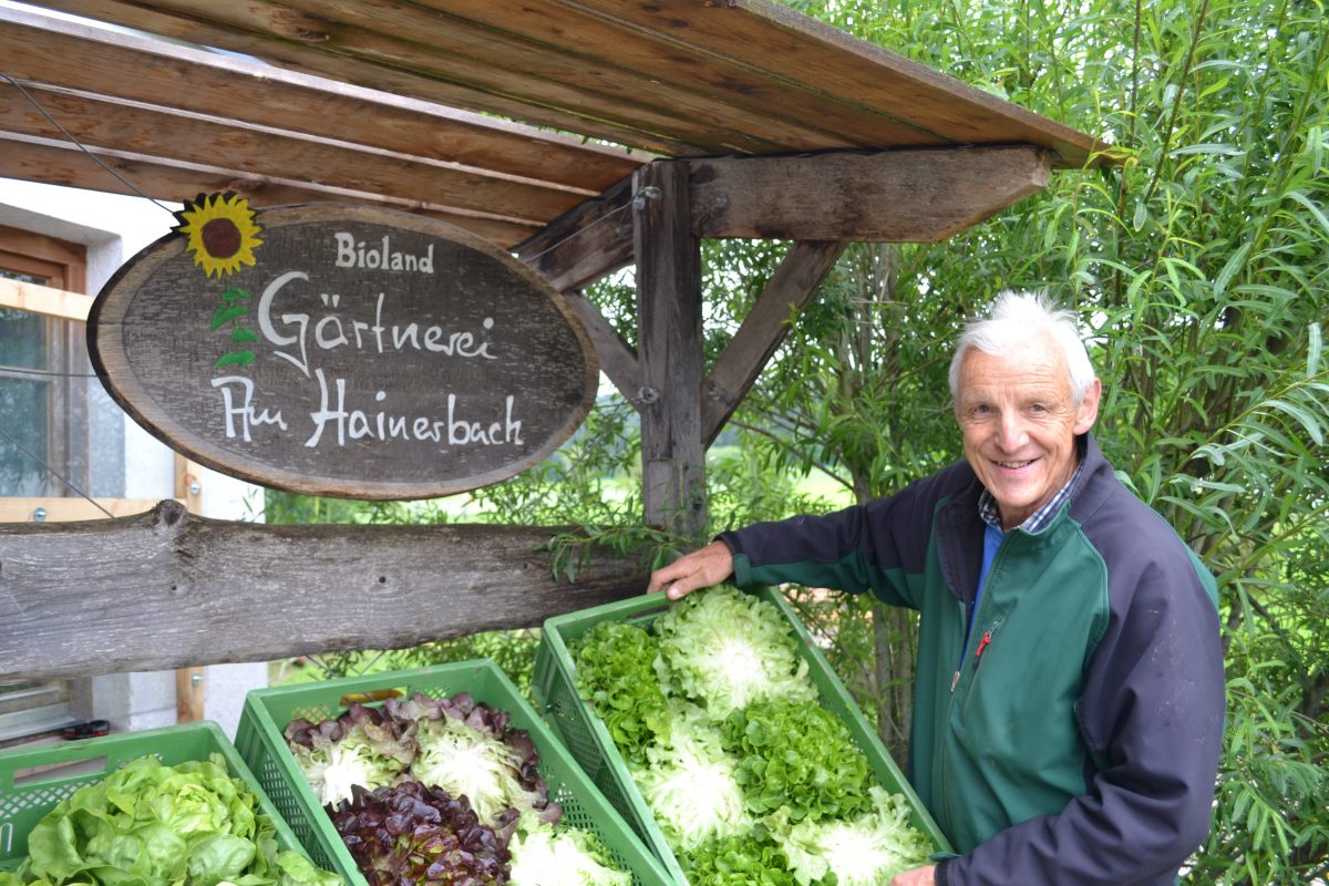 Mann steht vor einem Gemüsestand