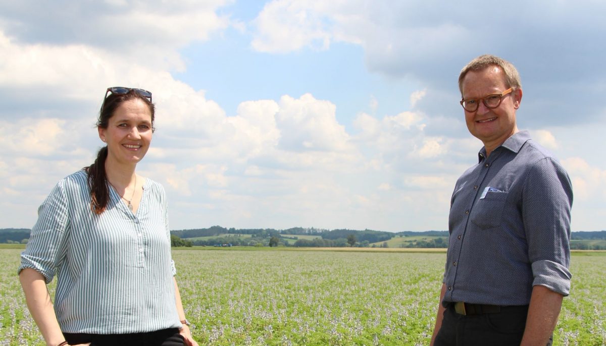 Eine Frau und ein Mann stehen zusammen auf einer Sommerwiese.