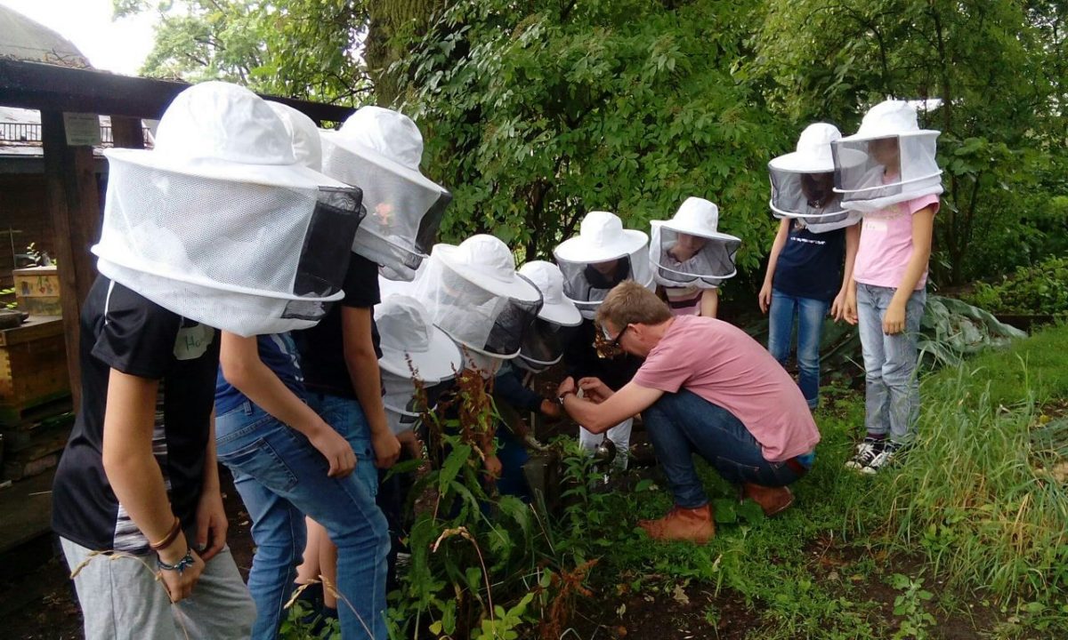 Imker mit einer Besuchergruppe inspiziert Bienenwaben.