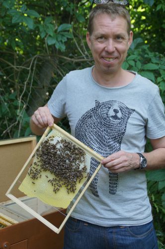 Mann hält eine Bienenwabe in den Händen.