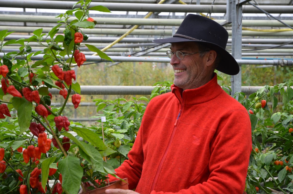 Mann mit Hut steht vor einer Chili Planze