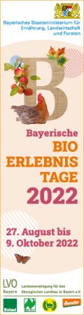 Banner 160x600px Vorschau