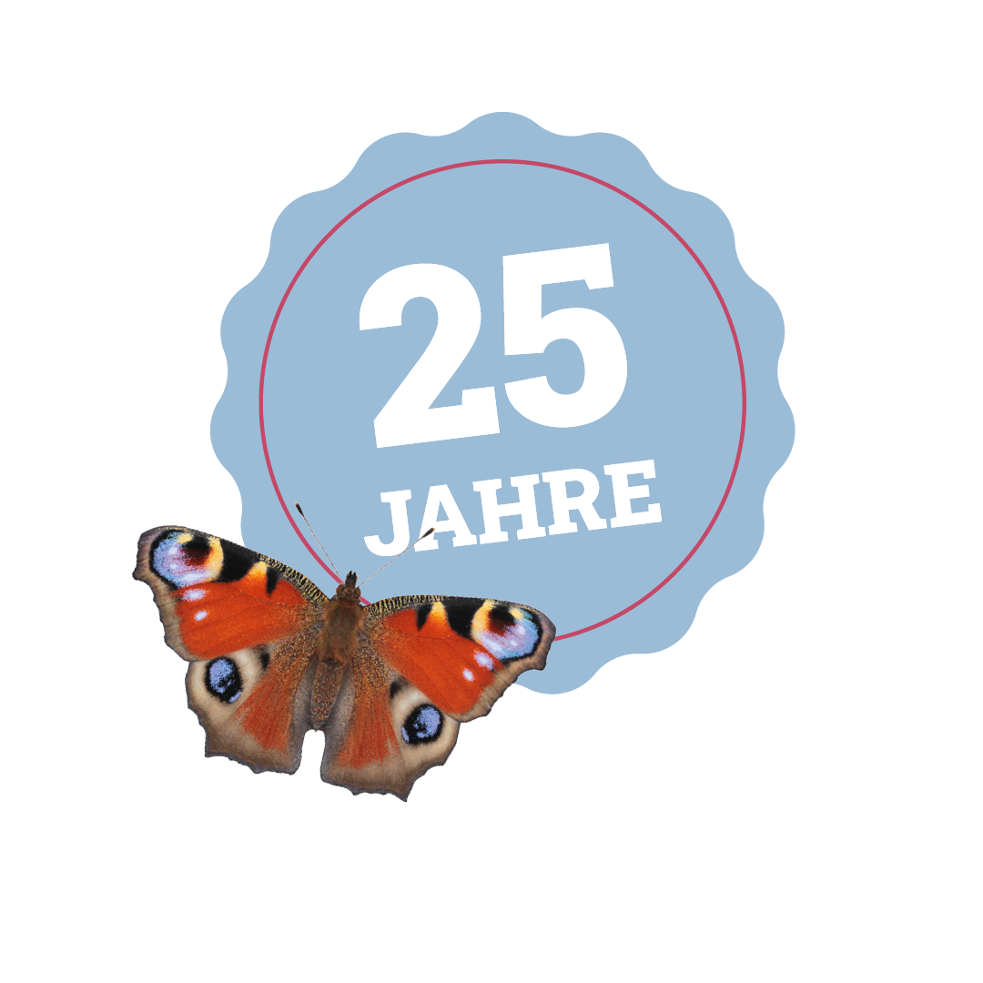 Schmetterling